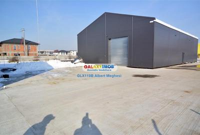 Vanzare hala 400 mp+teren 1500 mp Tunari - 3