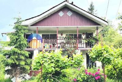 CASA cu etaj comuna ALEXANDRU CEL BUN - VADURELE - 12
