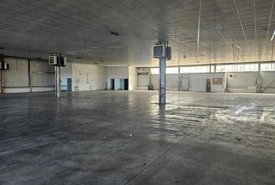 Hala Calea Lugojului 1400 mp 6000 euro - 2