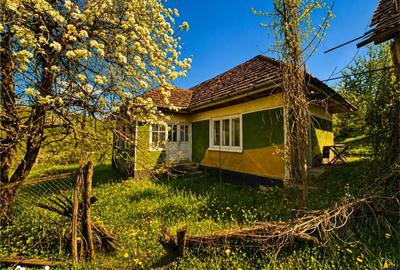 Casă cu 2 camere cu Teren 3400 Mp în Acățari - 12