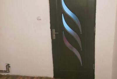 Casă cu 4 camere în Seceani - 2