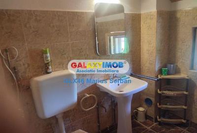 Casă cu 5 camere cu Teren 3657 Mp în Valea Lungă - 15