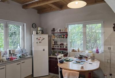 Casa 5 camere , 300 mp;  Teren - 2000 mp . Viile Satu Mare - 6