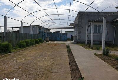 Casă cu 4 camere cu Teren 93 Mp în Sarichioi - 4