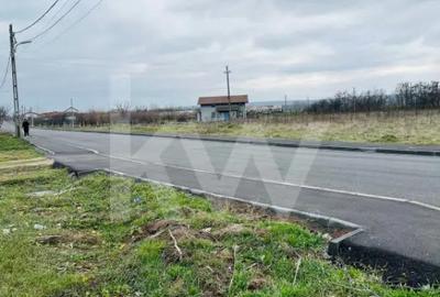 Teren de 1000 mp, în Rovine - 4