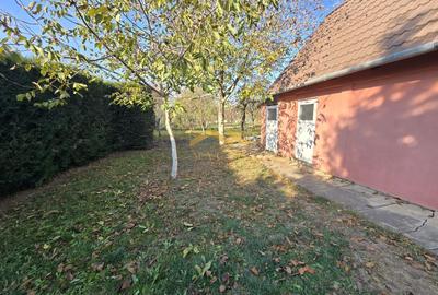 Casă individuală cu 3 camere cu Canalizare în Micălaca - 16