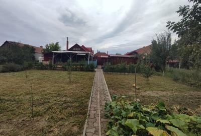 Sanadrei, Casa individuala, Suprafata teren generos, Garaj, terase si anexe - 4
