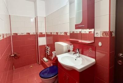De Vanzare Apartament 3 Camere Rahova  Stradal, Vedere Spate, Anvelopat - 13