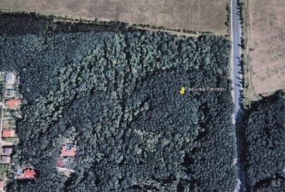 Teren agricol extravilan de 41200 mp, în Central - 1