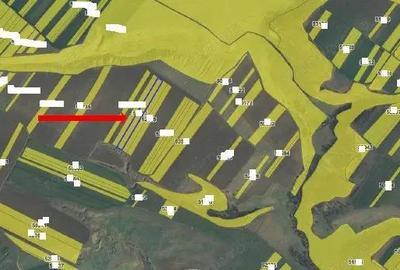 Teren extravilan Loc. Balacita,Jud. Mehedinti - 2