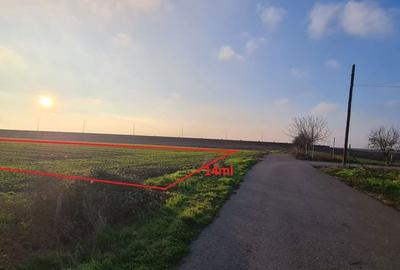 Teren de 2813 mp, în Vânători - 4