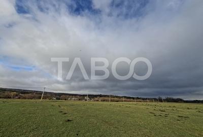 Teren intravilan de vanzare in Rasinari zona Calinis - 890 mp - 4