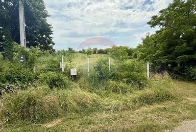 Teren pretabil constructii/10 min de Baia Mare - 11