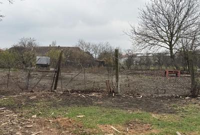 Teren Intravilan Becicherecu Mic 598mp,Utilitatile In Fata Parcelei,Asflat - 2