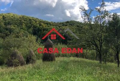 Teren de 9104 mp, în Brebu - 2