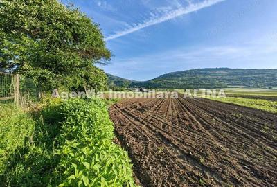 Teren intravilan 4094mp in Satul Soimus din Comuna Soimus, Jud. Hunedoara. - 10