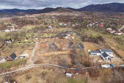 Teren de 5613 mp, în Șișești - 4