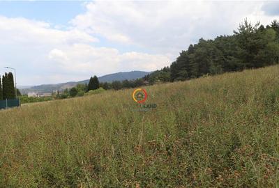 Teren intravilan cu PUZ si PUD 2 loturi - 1