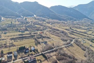 Spațiu comercial, în Predeluț - 5