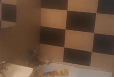 Apartament cu 4 camere decomandat, mobilat în Alexandru cel Bun - 21