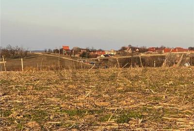 RECO Teren intravilan in Saldabagiu De Munte 2000mp