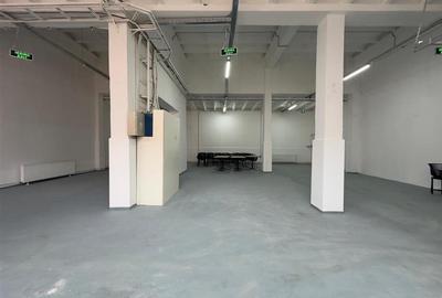 Spațiu industrial, de 193 mp, în Nicolina - 12