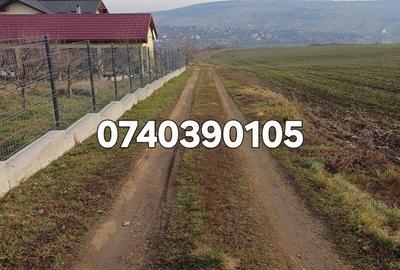 Teren 1950 mp Sorogari - 5