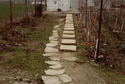 Casă cu 3 camere în Mineri - 1