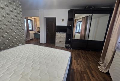 Garsonieră semidecomandată, mobilată în Nicolina - 7