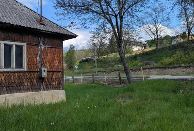 Casă cu 5 camere în Moisei - 7