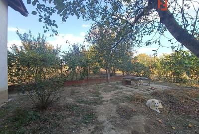 COMISION 0% Casa individuala cu 4 camere de vanzare in Urseni COMISION 0% Casa individuala cu 4 camere de vanzare in Urseni - 9