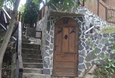 Se vinde casa p+m si teren Se vinde casa p+m si teren - 5