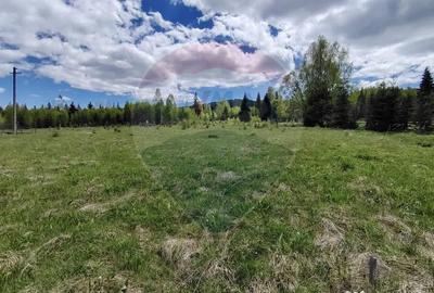 Teren de 2000 mp, în Șaru Dornei - 4