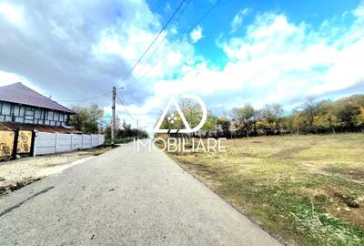 Teren intravilan de 2905 mp, în Bălănești - 3