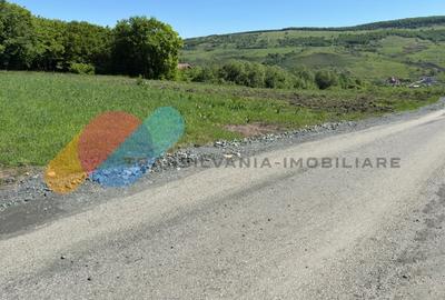 Teren Construcții extravilan de 2900 mp, în Popești - 2