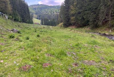 Spațiu comercial, în Arieșeni - 8