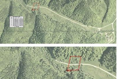 Teren de 7591 mp, în Poiana Mărului - 7