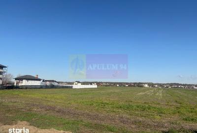 Teren de 4000 mp, în Clinceni