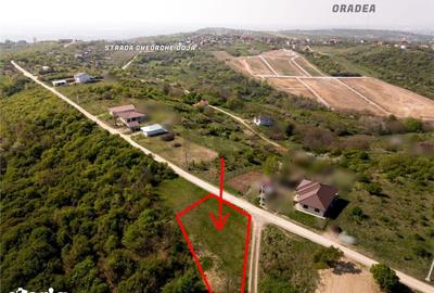 Teren de 534 mp, în Paleu - 2