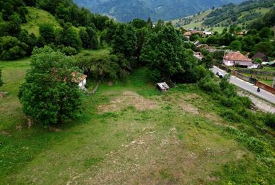 De vânzare proprietate Valea Ghimeș - 5