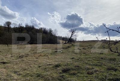 Teren extravilan in suprafata de 7500 mp la poalele Mesesulu - 8