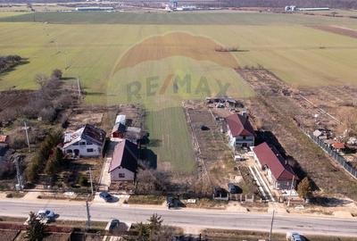 Vanzare teren intravilan 1056 mp si extravilan 8828mp Racari-DB - 5