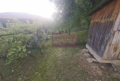 Casă cu 3 camere cu Teren 3410 Mp în Aluniș - 16