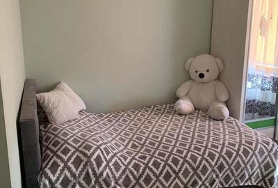 Apartament 2 camere in Piata Victoriei de inchiriat - 3