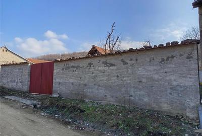 Teren de 1800 mp, în Ciclova Română - 11