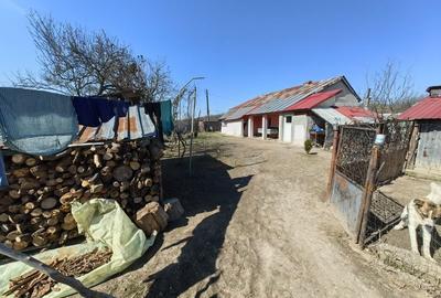 Casă cu 3 camere în Căscioarele (Găiseni) - 5