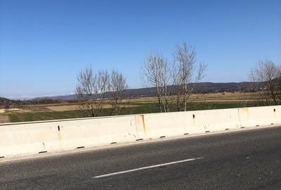 Teren extravilan de 4000 mp, în Mărăcineni - 26