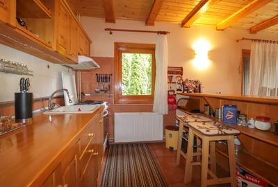 Busteni – Vila Situata La Liziera Padurii! - 5