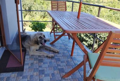 Casă cu 4 camere în Grebenișu de Câmpie - 6