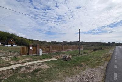 Casă cu 3 camere cu Teren 2500 Mp în Găiseanca